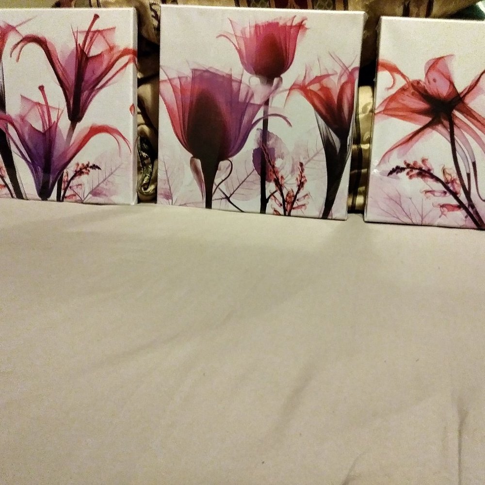 3 frames decorative wall art